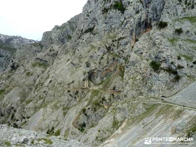 Ruta del Cares - Garganta Divina - Parque Nacional de los Picos de Europa;Senderismo social